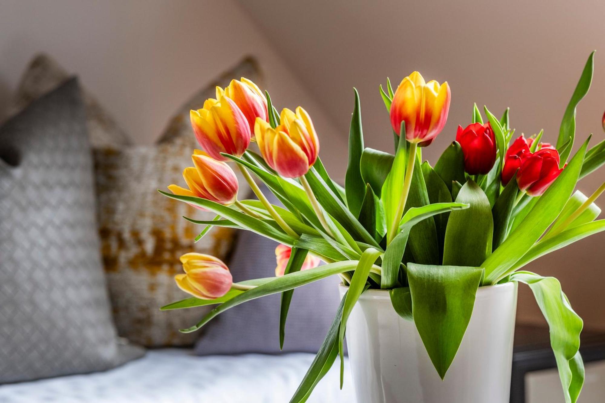 Seehotel Lichtenberg Kültér fotó